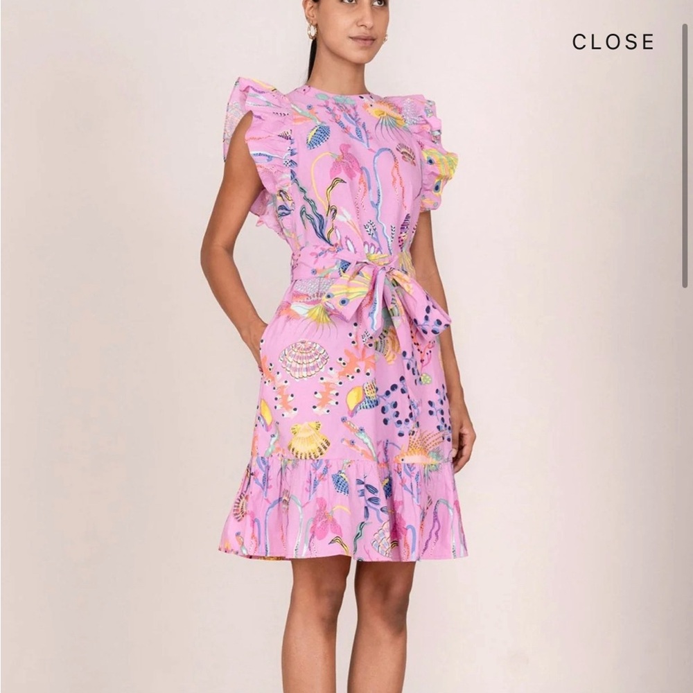 Banjanan Bulbul Mini Dress